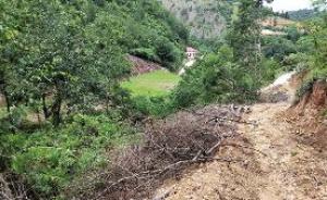 陕西洋县80亩山林被毁，森林公安半年未结案、林业局介入