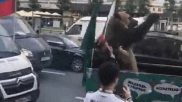 上街庆祝世界杯，俄罗斯“熊出没”！