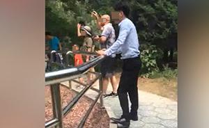 网曝“北京野生动物园游客用石子打老虎”视频，园方称正核实
