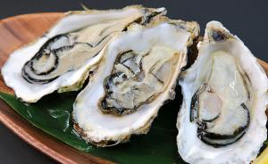 一批法国出口受大肠杆菌污染牡蛎销往中国，海关发布警示通报