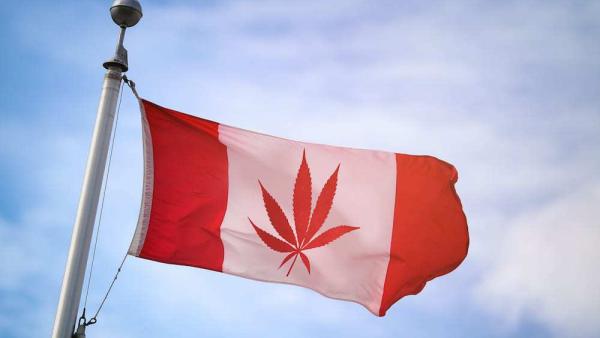 加拿大大麻全面合法：成全球第二个