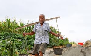 广西79岁老人肩挑手填四个月铺路：希望孩子上学路好走一点