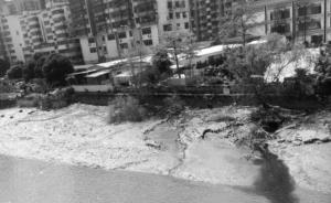 广州一小区生活污水致河水变黑，区环保局负责人等7人被问责