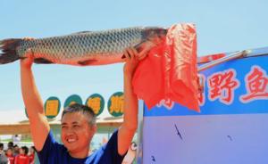 新疆博斯腾湖开湖捕鱼：头鱼30斤重被3.8万元拍卖
