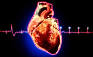 问答｜这几种常见的心脏检查有哪些不同之处？