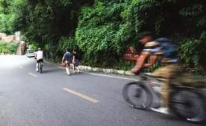 长沙两男子骑车翻下岳麓山致1死1伤，景区骑行事故频发