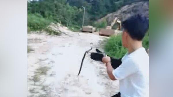 19岁网红手抓眼镜蛇直播，被毒液喷眼