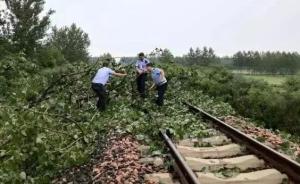 暖闻｜暴雨中大树倒在铁轨上，民警冒死拦停满载乘客的火车