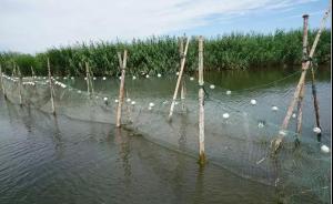 环保督察：乌梁素海生态环境形势仍不乐观，治理规划不严不实
