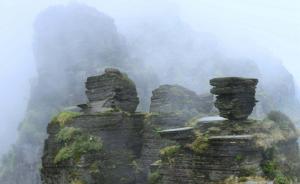 新華社談梵凈山申遺成功：彰顯中國生態(tài)文明建設(shè)新成果