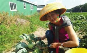 鞍山阿姨60歲自學英語，68歲邊打工邊旅游獨自游歐美