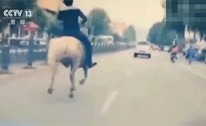小伙酒驾被查换马骑，当街坠马骨折