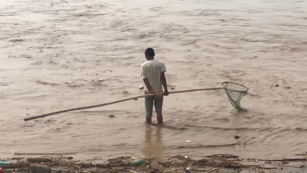 黄河现“流鱼”奇观，沿岸居民捕捞