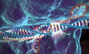 “基因魔剪”准确性低于预期，或致DNA大规模删除或重排