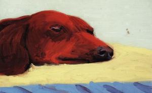 从毕加索到霍克尼，腊肠犬缘何成为艺术家的缪斯