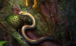 科学家首在琥珀化石中发现近1亿年前蛇类，命名“缅甸晓蛇”