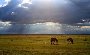 国家林草局：内蒙古草原生态已恢复接近上世纪80年代水平
