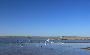 内蒙古主要湖泊获“大幅度”雨水滋润，湖体面积增长明显
