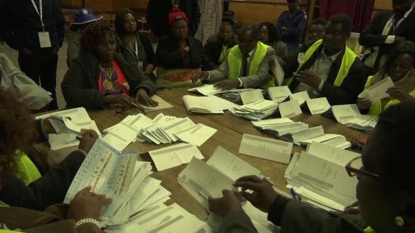 津巴布韦大选，执政党称已获多数席位