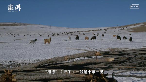 气候变化︱蒙古：都市游牧民①