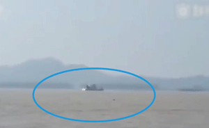 江豚长江扬州段集体“拜风”，船舶避让
