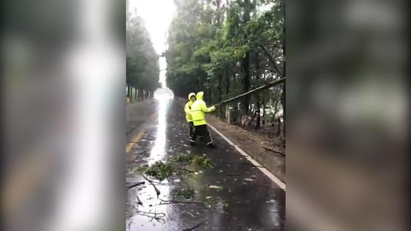 台风天巡逻遇树倒，浦东交警雨中清障