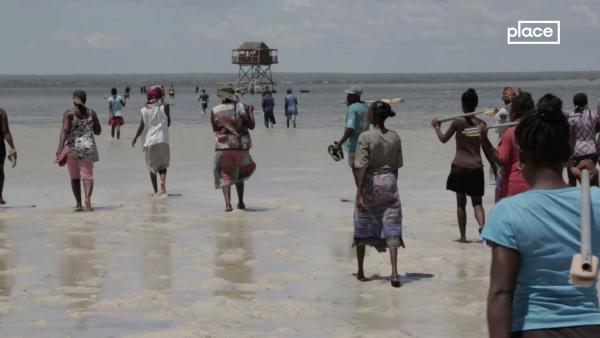气候变化︱马达加斯加：与海共生③