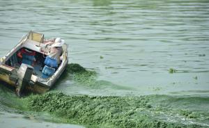 直播录像丨高温致安徽巢湖蓝藻爆发，藻水分离站已投入运营