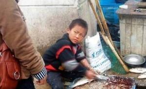 中国青年报：网红“杀鱼弟”悲剧映射了家庭教育的痛点