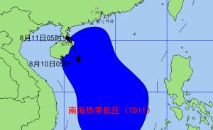 南海热带低压登陆海南，海洋预报台再发风暴潮、海浪蓝色预警