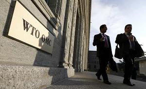 世贸组织总干事：为什么我们比以往更需要WTO？