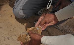北宋瓷片现身斯里兰卡遗址，上博考古“走出去”获得新发现