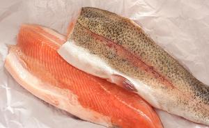 挪威食品安全局称虹鳟也能生吃，但前提是“海水养殖”