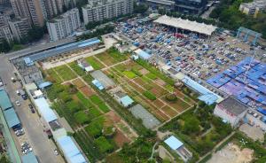城市更新和土地整备：深圳靠这两招破解存量土地再开发难题