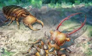 科学家从缅甸琥珀中揭示蛉类幼虫的伪装行为演化史
