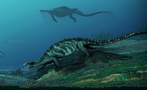 贵州关岭发现2.28亿年前龟化石：出现喙保留牙齿，非海龟
