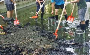 2020年前武汉高校将实现雨污分流，以避免污染长江