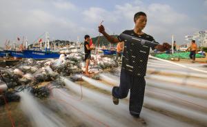 浙江渔场总资源密度增加，渔民收入同步提高