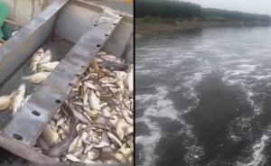 洪泽湖水变黑鱼蟹“死绝”，污染源待查