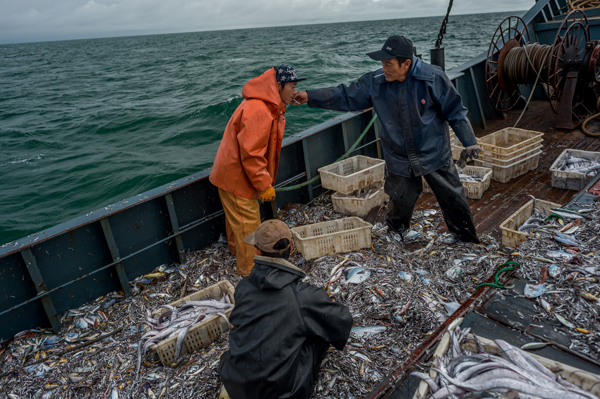追鱼的人 捕捞产量下降明显,靠燃油补贴维持成本